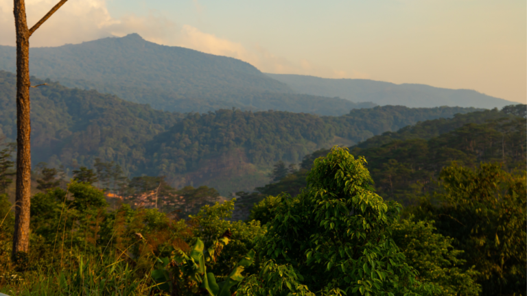 LES ATELIERS POUR ENFANTS