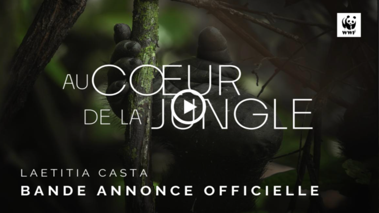 Notre sélection : un documentaire à voir absolument