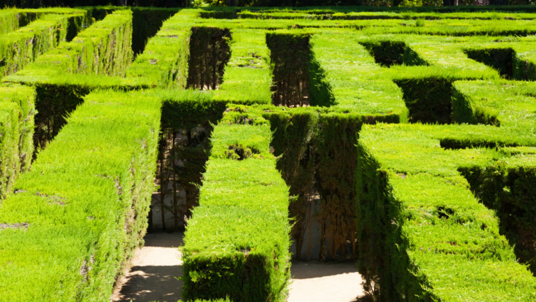 LE LABYRINTHE